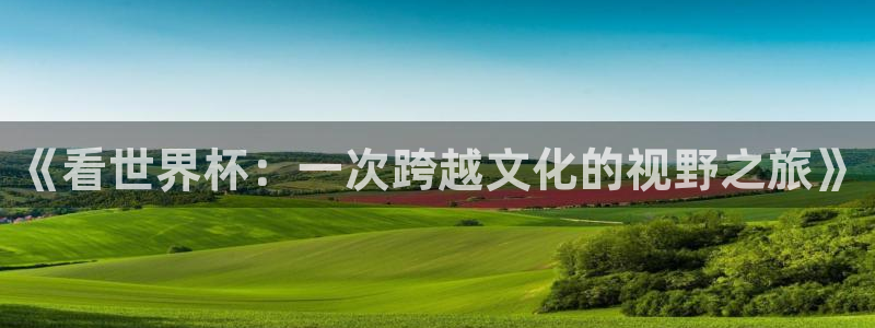 2026世界杯赛:《看世界杯:一次跨越文化的视野之旅》