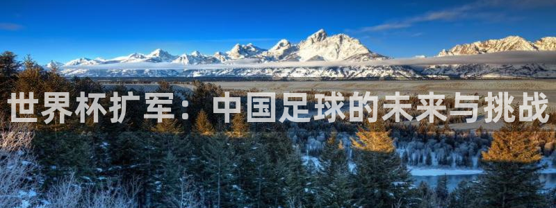 世预赛直播:世界杯扩军:中国足球的未来与挑战