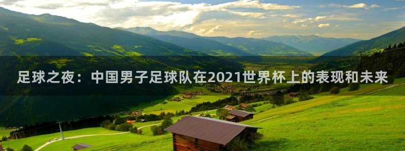 世界杯欧洲区预选赛赛程:足球之夜:中国男子足球队在2021世界杯上的表现和未来