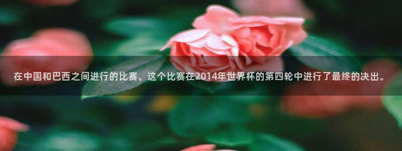 2026年世界杯直播平台:在中国和巴西之间进行的比赛。这个比赛在2014年世界杯的第四轮中进行了最终的决出。