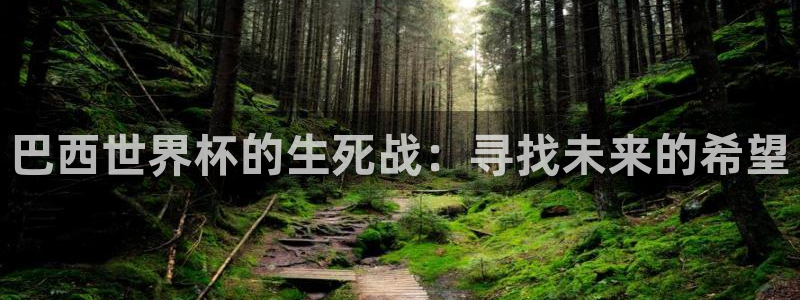 世界杯球队排名:巴西世界杯的生死战:寻找未来的希望