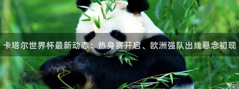 世界杯预选赛赛程:卡塔尔世界杯最新动态:热身赛开启、欧洲强队出线悬念初现