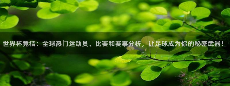 2026世预赛赛程:世界杯竞猜:全球热门运动员、比赛和赛事分析,让足球成为你的秘密武器!