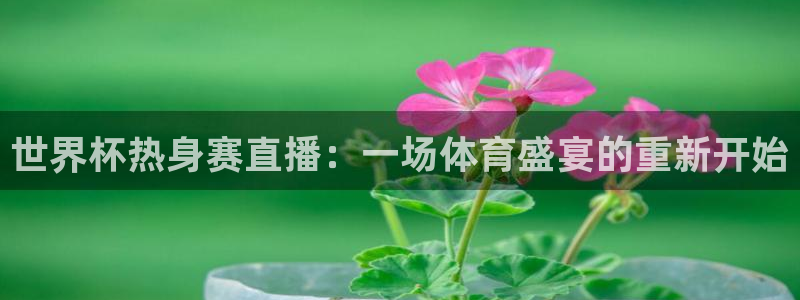 2026足球世界杯赛程:世界杯热身赛直播:一场体育盛宴的重新开始